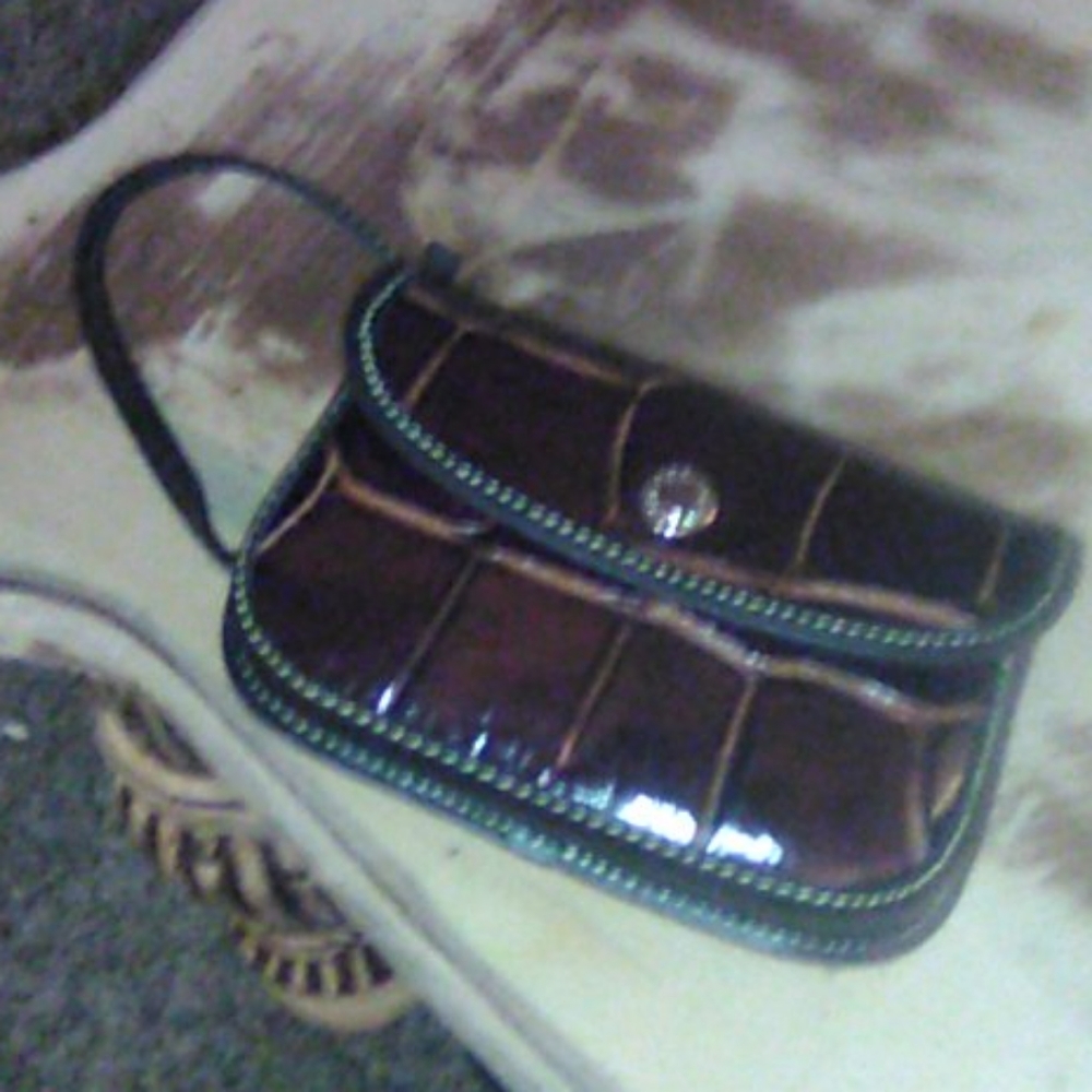 Dooney & Bourke wristlet